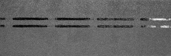 Коньково-карнизная черепица Docke Premium, черника купить в Бугульме