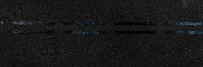 Коньково-карнизная черепица Docke Eurasia, черный